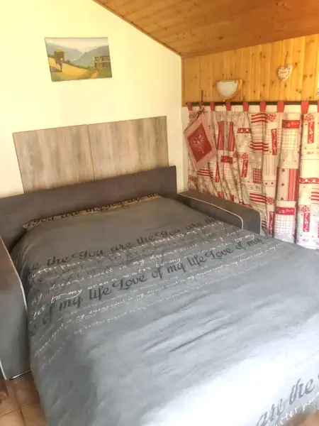 Studio chaleureux à Thollon-les-Mémises - 20 m² avec vue - Photo 2