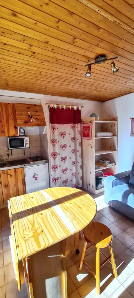 Studio chaleureux à Thollon-les-Mémises - 20 m² avec vue - Photo 27