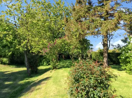 Maison de charme à Mailly-Maillet avec jardin clôturé et cheminée - Photo 13