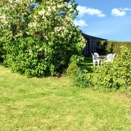 Maison de charme à Mailly-Maillet avec jardin clôturé et cheminée - Photo 14