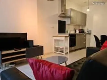 Appartement charmant au centre historique de Beaugency - 30 m² - Photo 10