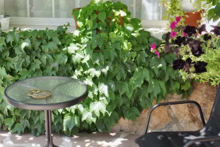 Appartement confortable à Collado Villalba 100 m² avec jardin ouvert - Photo 31