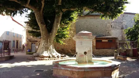 Maison Renaissance avec vue imprenable sur Caunes-Minervois - Photo 15
