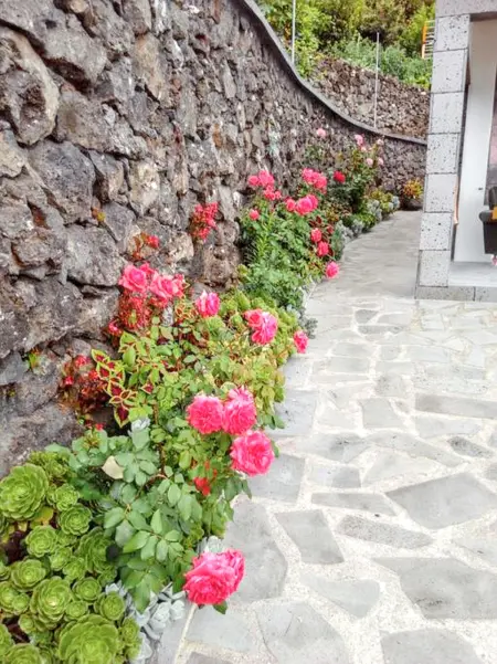 Maison vue mer à Santo Amaro avec jardin, 212 m², terrasse - Photo 29