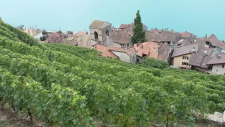 Maison de charme à Mouzillon - Jardin et terrasse accueillante - Photo 24