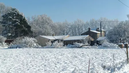 Maison de charme à Mouzillon - Jardin et terrasse accueillante - Photo 35