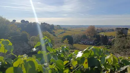 Maison de charme à Mouzillon - Jardin et terrasse accueillante - Photo 37