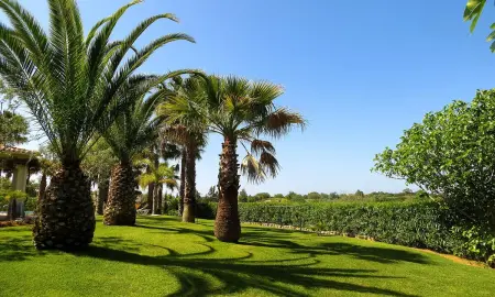 Villa spacieuse à Carvoeiro avec piscine privée - Photo 11