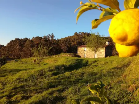 Maison pittoresque à Andeviso avec vue sur la montagne. - Photo 13