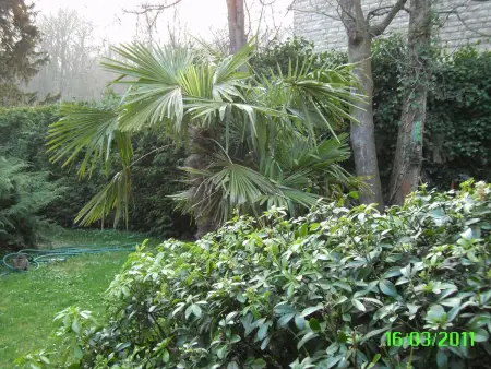 Studio charmant à Ville-d'Avray, 25 m², parking gratuit - Photo 24