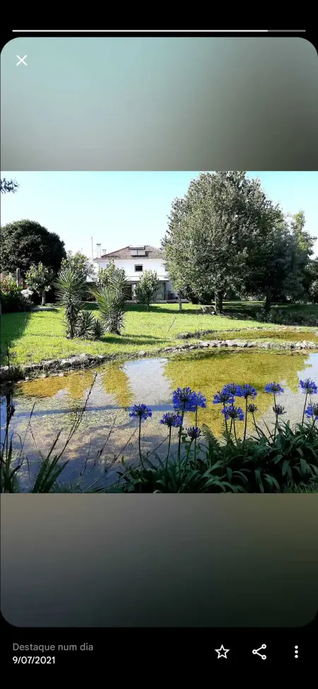 Magnifique villa à Póvoa de Lanhoso avec piscine et jardin - Photo 64