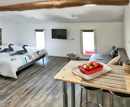 Studio charmant à Saint-Jory, 25 m², piscine partagée - Photo 4