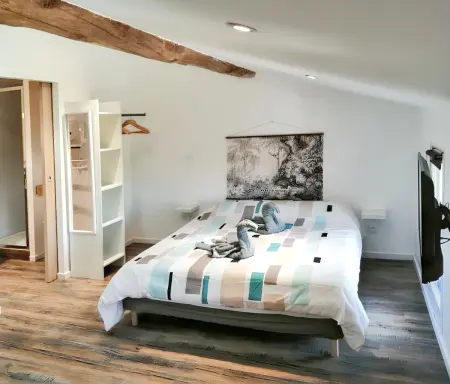 Studio charmant à Saint-Jory, 25 m², piscine partagée - Photo 7