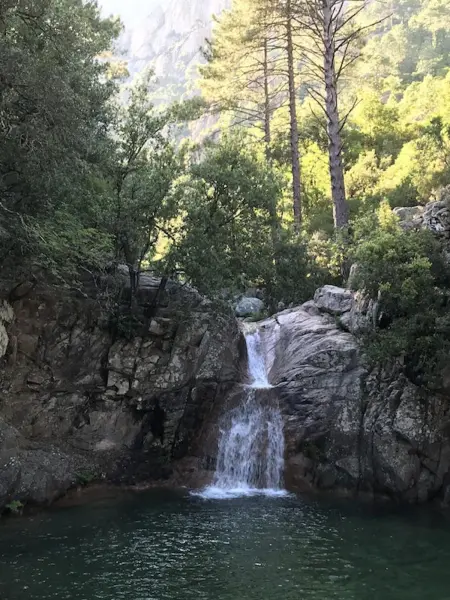 Appartement spacieux à Porto-Vecchio avec piscine partagée - Photo 24