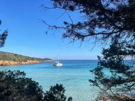 Appartement spacieux à Porto-Vecchio avec piscine partagée - Photo 44