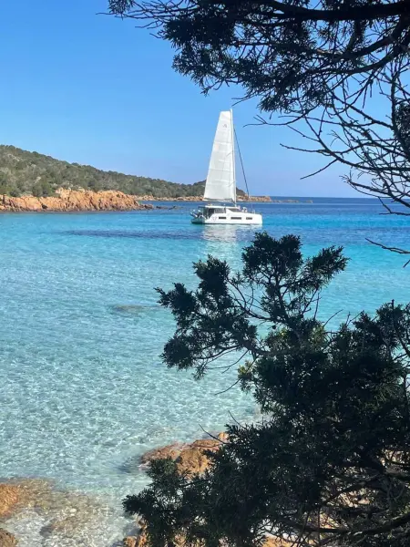 Appartement spacieux à Porto-Vecchio avec piscine partagée - Photo 45