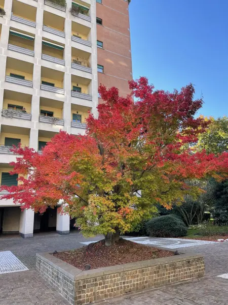 Appartement élégant à Monza avec vue sur jardin - Photo 17