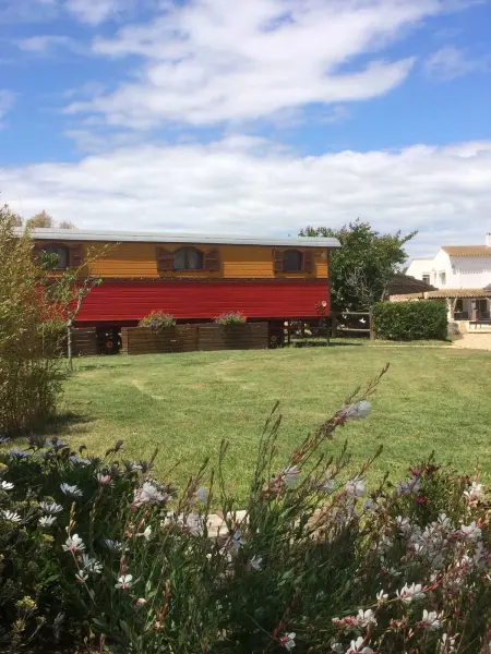 Bungalow confortable à Saintes-Maries-de-la-Mer avec piscine - Photo 8