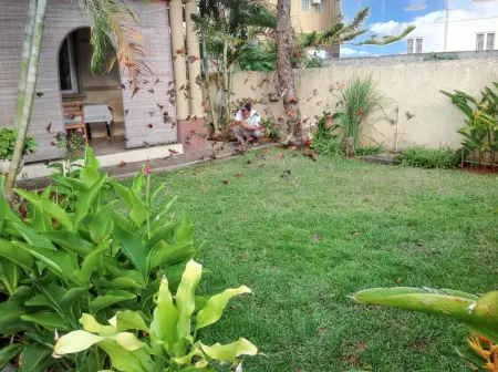 Studio cosy à Trou-aux-Biches 35 m² avec balcon joli jardin - Photo 28