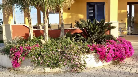 Studio lumineux à Gallipoli - 30 m² + Jardin clôturé - Photo 2
