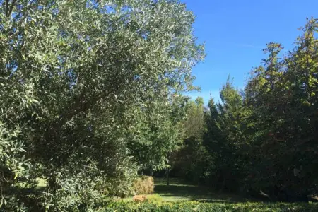 Maison accueillante à Arles - Jardin, Parking privé - Photo 4