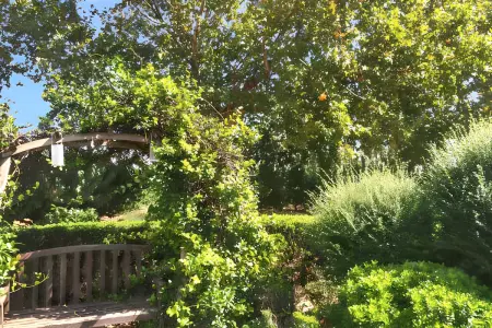 Maison accueillante à Arles - Jardin, Parking privé - Photo 6