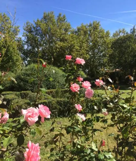 Maison accueillante à Arles - Jardin, Parking privé - Photo 8