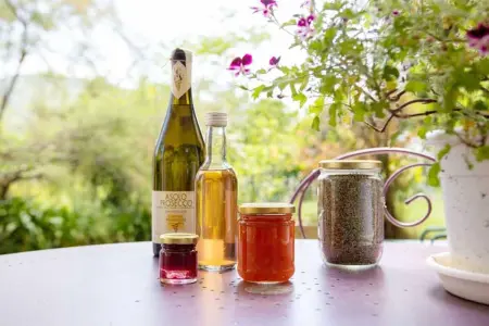 Appartement confortable au Bar-sur-Loup 60 m² avec jardin - Photo 7