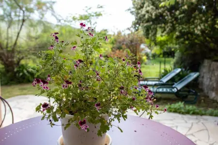 Appartement confortable au Bar-sur-Loup 60 m² avec jardin - Photo 14