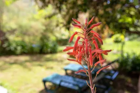 Appartement confortable au Bar-sur-Loup 60 m² avec jardin - Photo 22