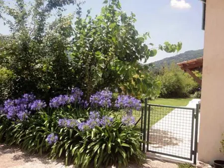 Appartement confortable au Bar-sur-Loup 60 m² avec jardin - Photo 25