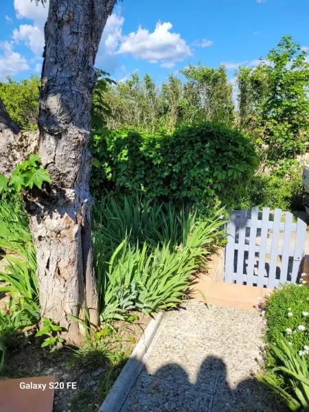 Maison charmante à Saint-Michel-l'Observatoire avec jardin - Photo 16