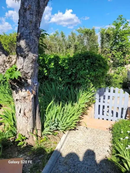 Maison charmante à Saint-Michel-l'Observatoire avec jardin - Photo 17