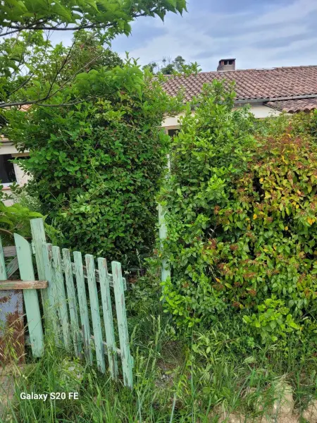 Maison charmante à Saint-Michel-l'Observatoire avec jardin - Photo 20