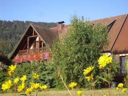 Appartement charmant à Thannenkirch avec vue montagne - Photo 1