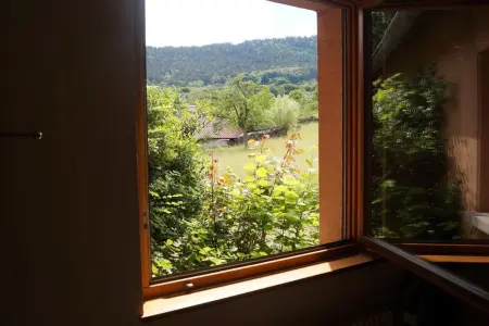 Appartement charmant à Thannenkirch avec vue montagne - Photo 15