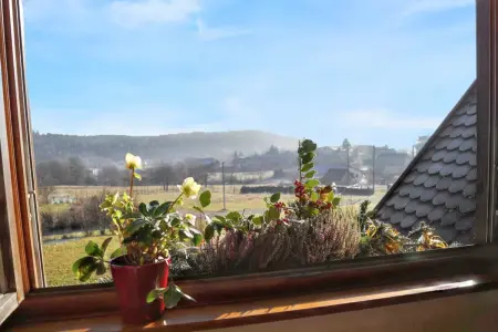 Appartement charmant à Thannenkirch avec vue montagne - Photo 17