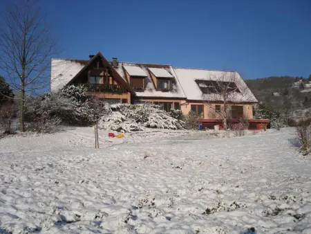 Appartement charmant à Thannenkirch avec vue montagne - Photo 18