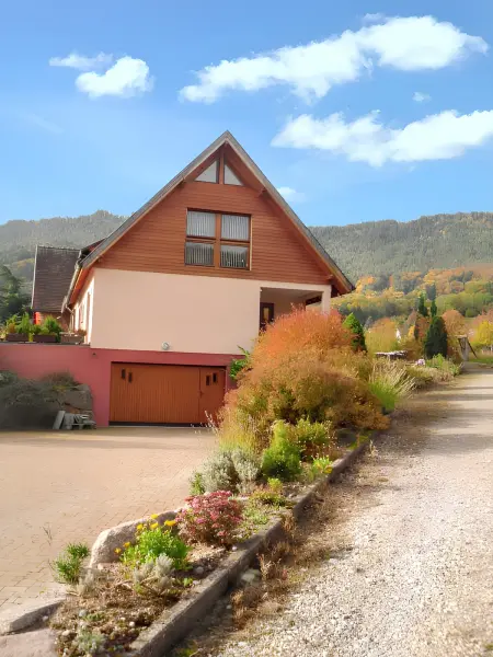 Appartement charmant à Thannenkirch avec vue montagne - Photo 21