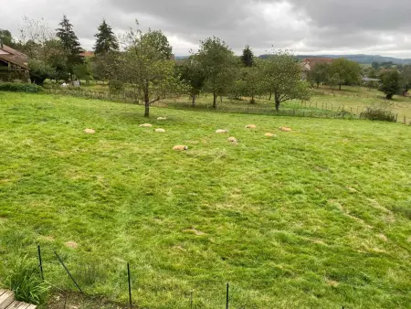 Maison charmante à Châteney avec piscine partagée - Photo 11