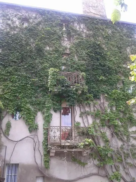 Studio charmant à Néris-les-Bains, 20 m², avec terrasse - Photo 17