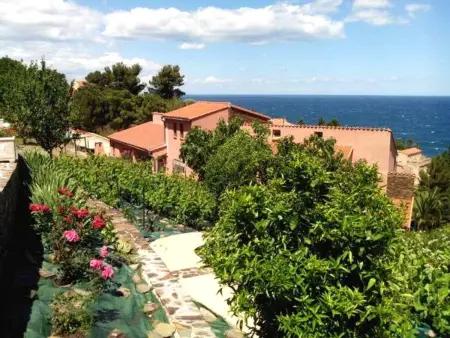 Appartement lumineux à Collioure avec terrasse et vue sur mer - Photo 1