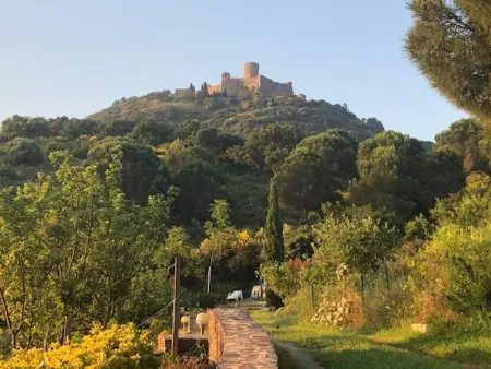 Appartement lumineux à Collioure avec terrasse et vue sur mer - Photo 14