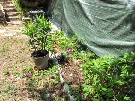 Maison de charme à Vachères avec jardin et vue montagne - Photo 22