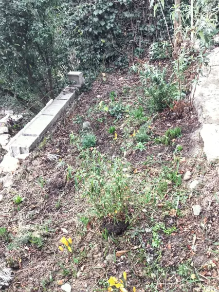 Maison de charme à Vachères avec jardin et vue montagne - Photo 35