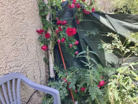 Maison de charme à Vachères avec jardin et vue montagne - Photo 39