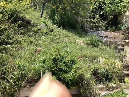 Maison de charme à Vachères avec jardin et vue montagne - Photo 41