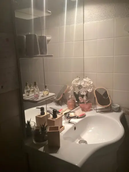 Maison de charme à Vachères avec jardin et vue montagne - Photo 53
