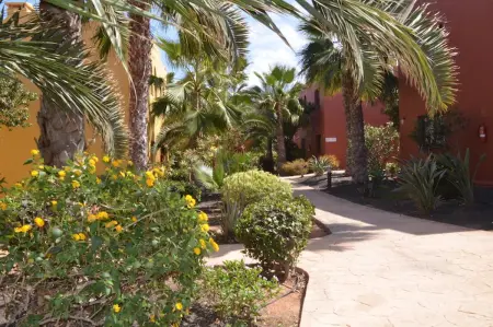 Appartement cosy à Corralejo, piscine partagée, 55 m² - Photo 14