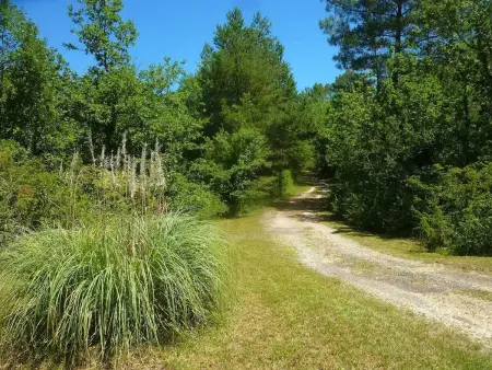 Maison charmante à Les Junies avec vue sur jardin - Photo 10